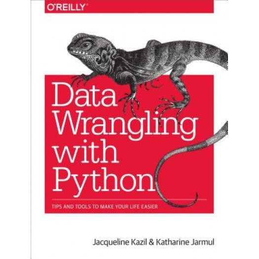 Data Wrangling Using Python - Jacqueline Kazil (Author)