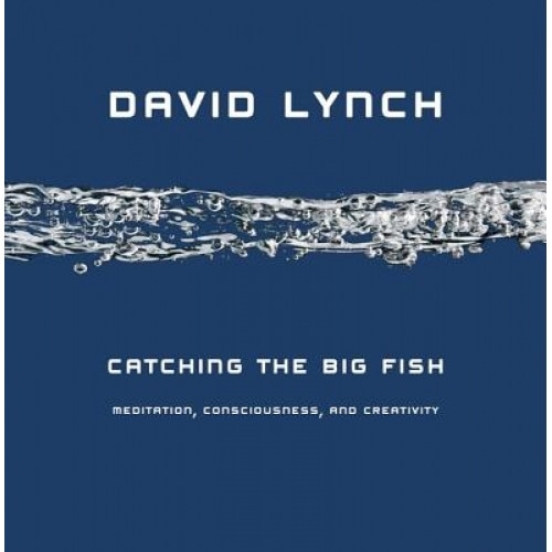 Catching the Big Fish: Meditation, Consciousness, and Creativity, David Lynch
