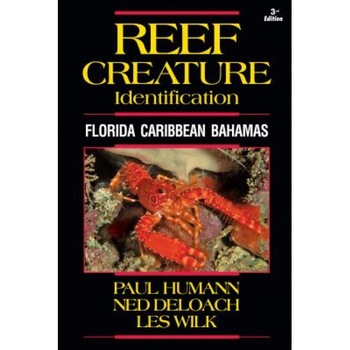 Reef Creature Identification: Florida Caribbean Bahamas, Paul Humann (Author) Reef Creature Identification: Florida Caribbean Bahamas, Paul Humann (Author)