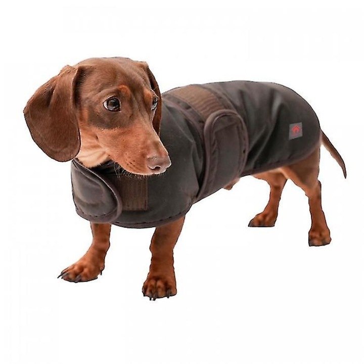 Palton pentru caini, 36cm, impermeabil, maro, cu logo, set pentru Dachshund