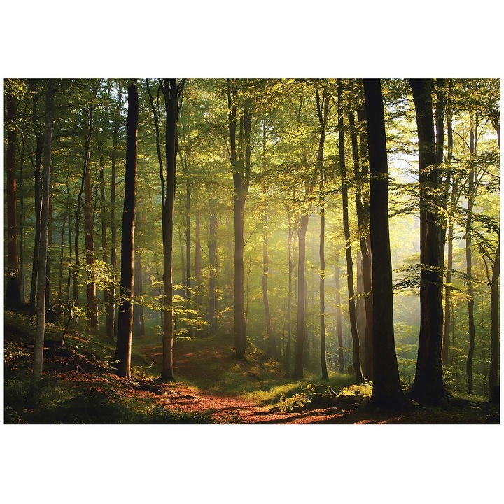 Fototapet, 3D, Padure, Copaci, 150x105 cm, Modern, Vlies, Tapet, Pentru Dormitor, Camera, Living, Perete, Decorare, 15854VX3