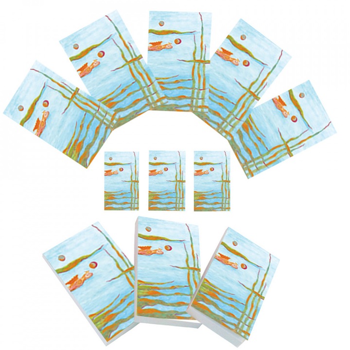Set carnetele de buzunar Soapta Stelelor, Vis acvatic 10+1, 100 foi, 5x8cm