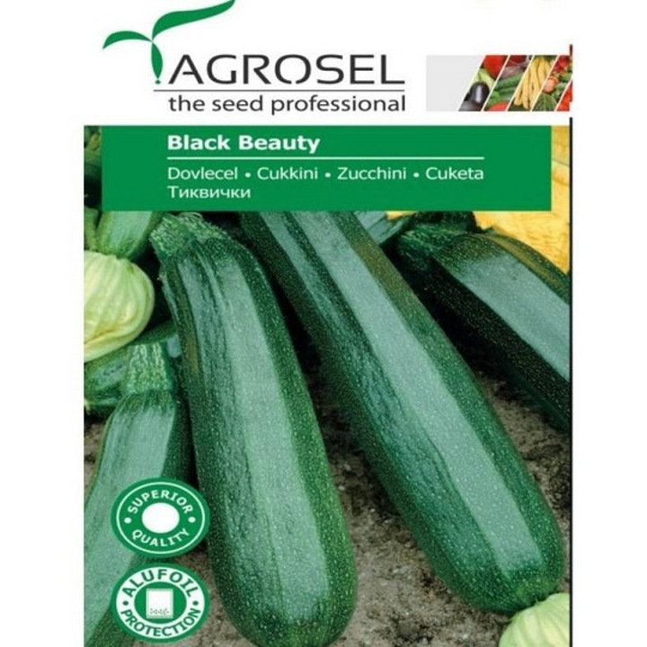 Seminte dovlecel Black Beauty PG2