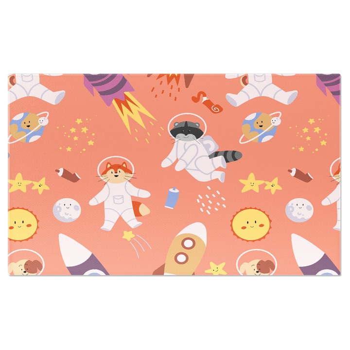 Tablou Canvas: Animale astronauti desenate - Rachete prin spatiu 40x25CM