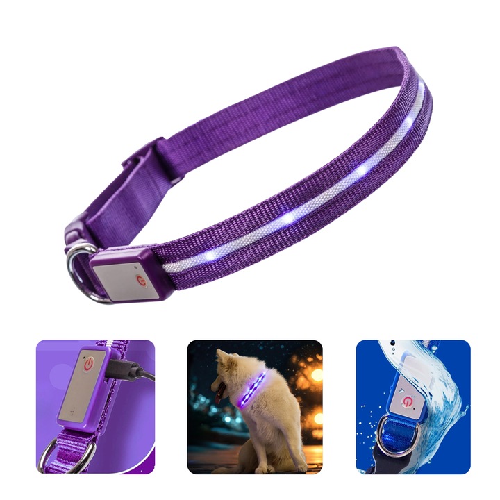 Zgarda Luminoasa LED Pentru Caini, BIZAIMO®, Pentru Mai Multa Vizibilitate Si Siguranta In Plimbarile Nocturne, Reincarcabila USB-C, Rezistenta La Apa IPX7, Lejera Si Confortabila, Reglabila, 3 Moduri De Iluminare, Marimea S, Mov