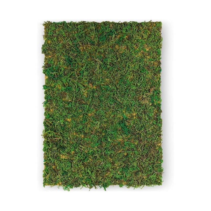 Лист от естествен мъх A4 297x210мм, Нетуно, комплект декоративни сламки