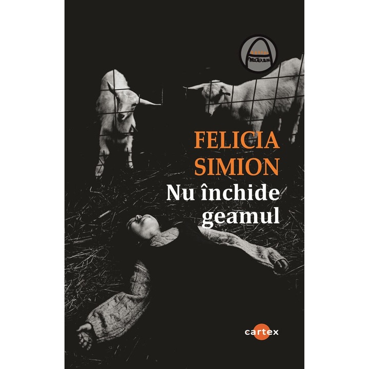 Nu inchide geamul-Felicia Simion