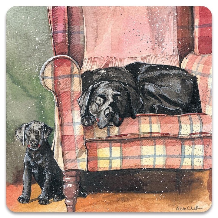 Alex Clark többszínű dekoratív mágnes 6.5x6.6cm