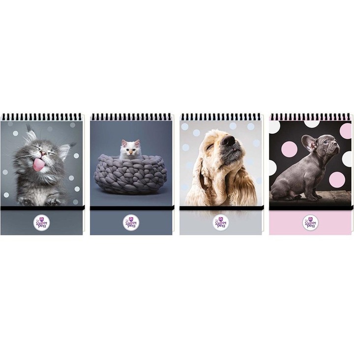 Caiet Beniamin A6/96K The Sweet Pets, cu elastic, multicolor
