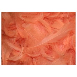 Accesorii decorative