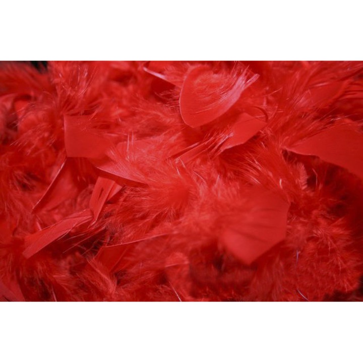 Pene decorative PartyPro, set 15g, rosii