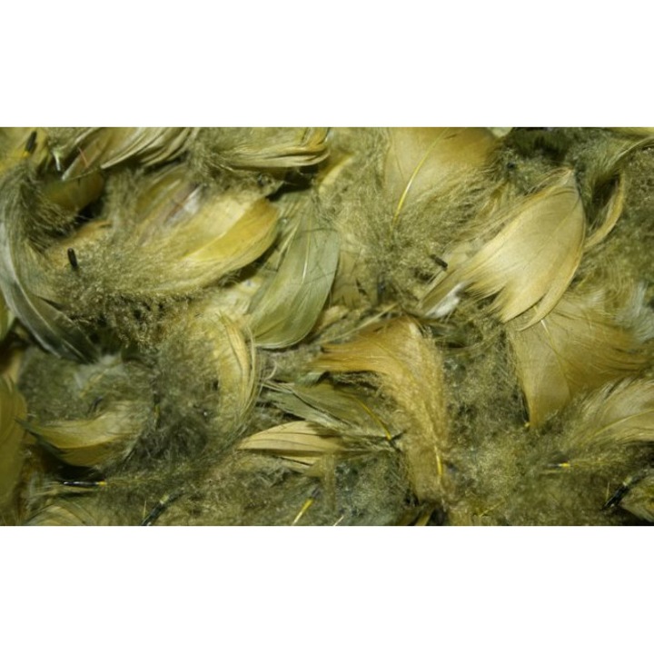 Pene decorative, PartyPro, set 25g, 600 bucati, oliv