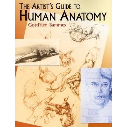 The Artist's Guide to Human Anatomy, Gottfried Bammes