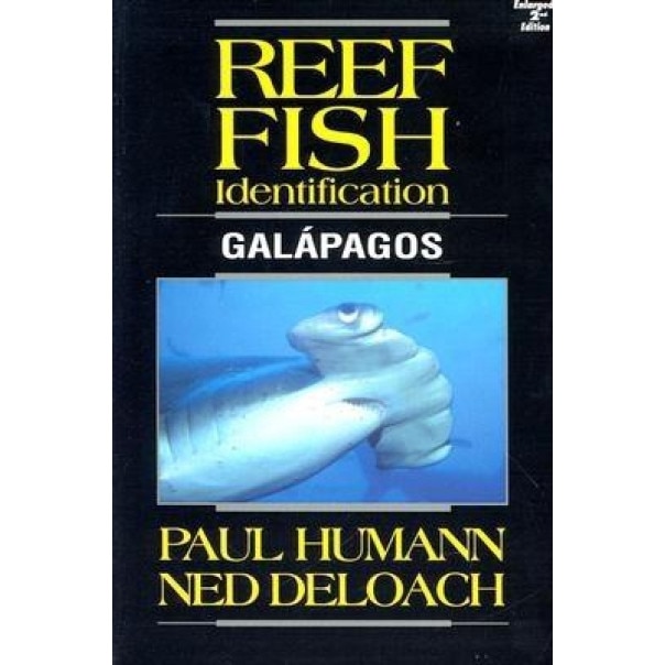 Reef Fish Identification Galapagos, Paul Humann, Ned Deloach