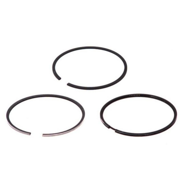 Segmenti motor Case IH Goetze 3802050