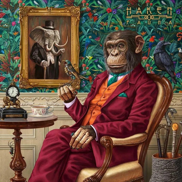 Haken: Fauna, Vinyl (LP) Transparent Magenta, 2 discuri