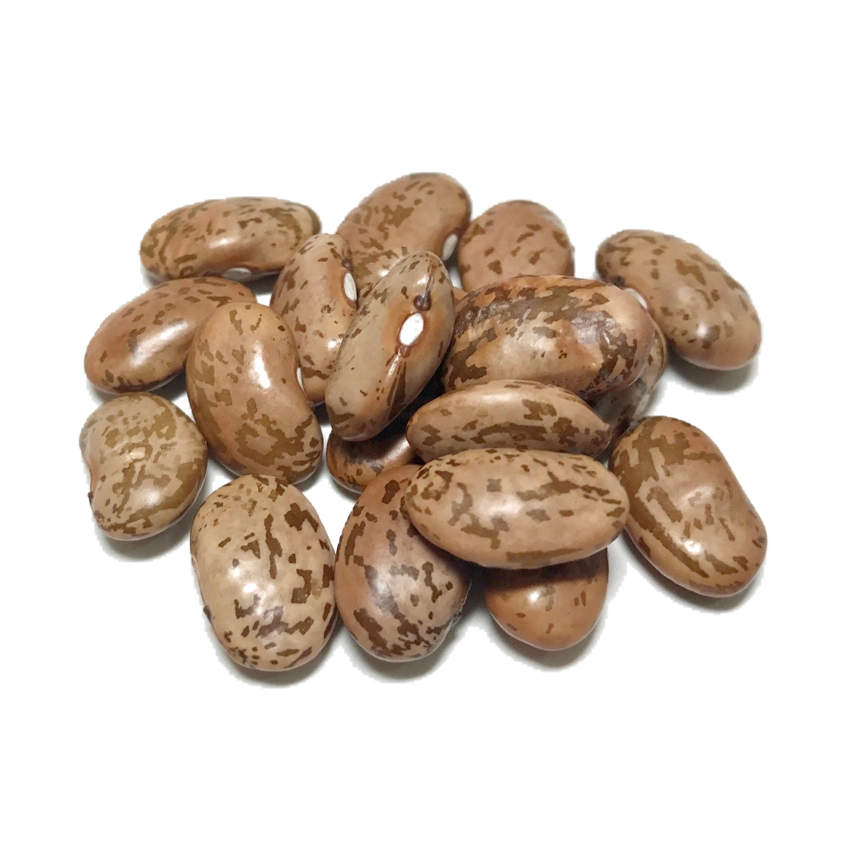 Fasole Pinto uscata 1Kg