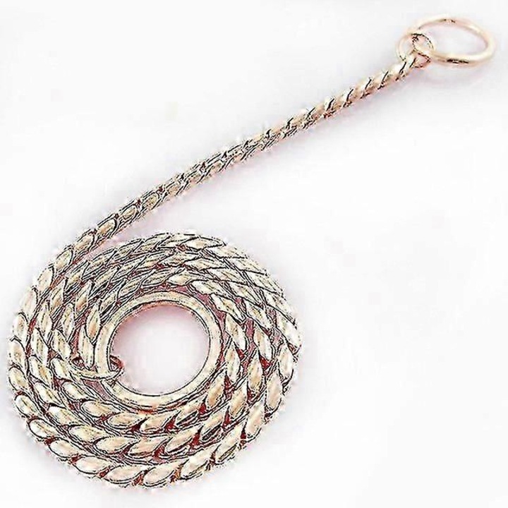 Zgarda pentru caini Livepetsme, aurie, din otel inoxidabil, 3.0x35cm - 5.0x70cm, personalizabil, pentru caini mici, medii si mari