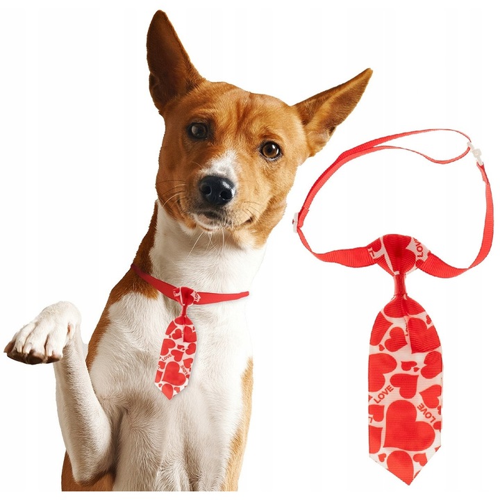 Вратовръзка за домашни любимци, ARPEX, 4x14см, червен