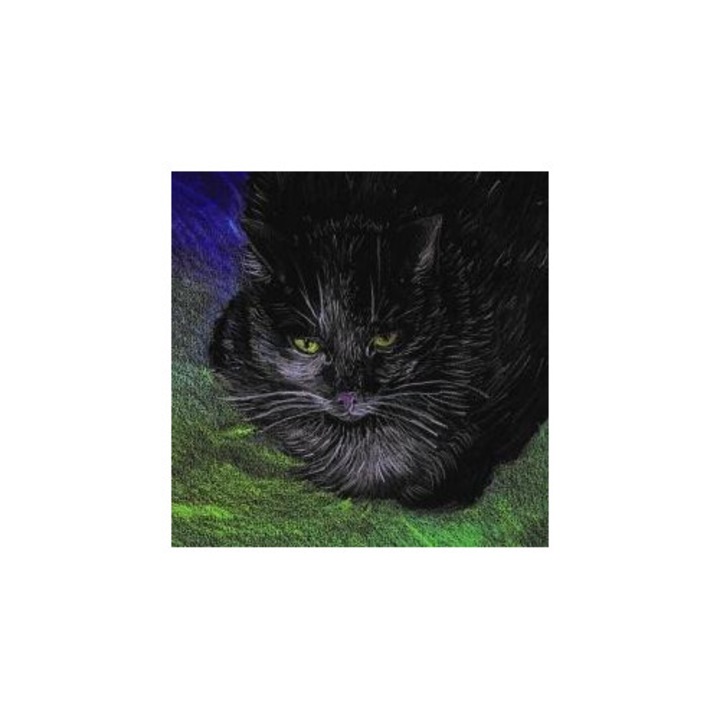 Emg füzet, Koty ökológiai, 100% újrahasznosított, 115g/m2