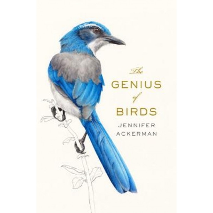 The Genius of Birds, Jennifer Ackerman (Author)