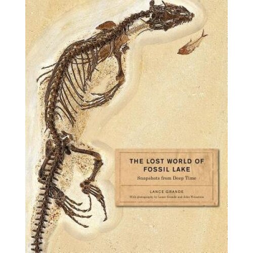 The Lost World of Fossil Lake: Snapshots from Deep Time, Lance Grande (Author)