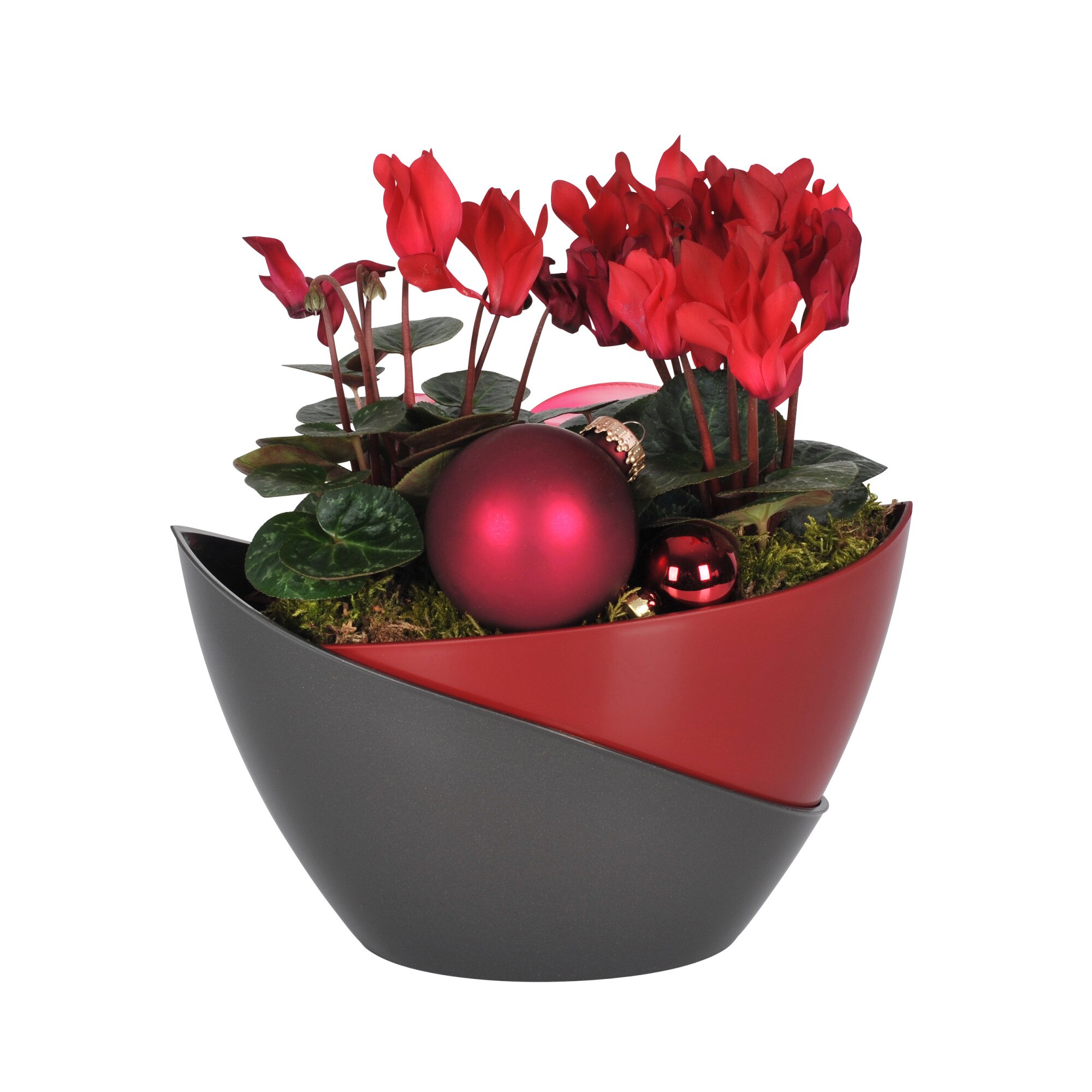 Ghivechi auto-udare DOPPIO 14 cm, RedWine/Anthracite(autumn)