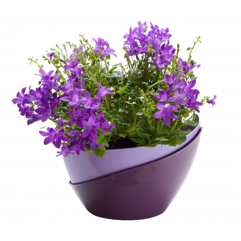 Ghivechi auto-udare DOPPIO 14 cm, Light/DarkViolet