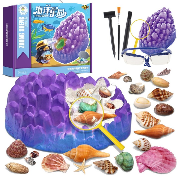 Set mare de arheologie, 22 de scoici si melci de mare, 5 unelte, explorare stiintifica, jucarii educationale pentru copii, 4ani+