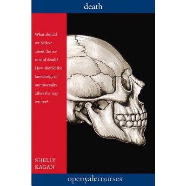 Death, Shelly Kagan (Author)