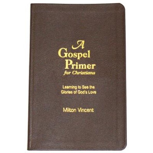 A Gospel Primer for Christians: Learning to See the Glories of God's Love, Milton Vincent (Author)
