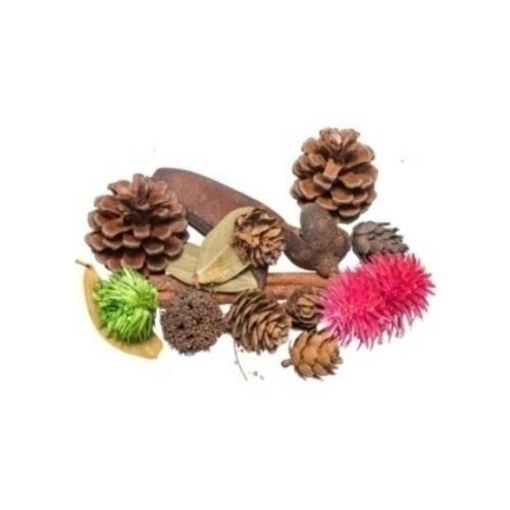 Ierburi decorative uscate 30g