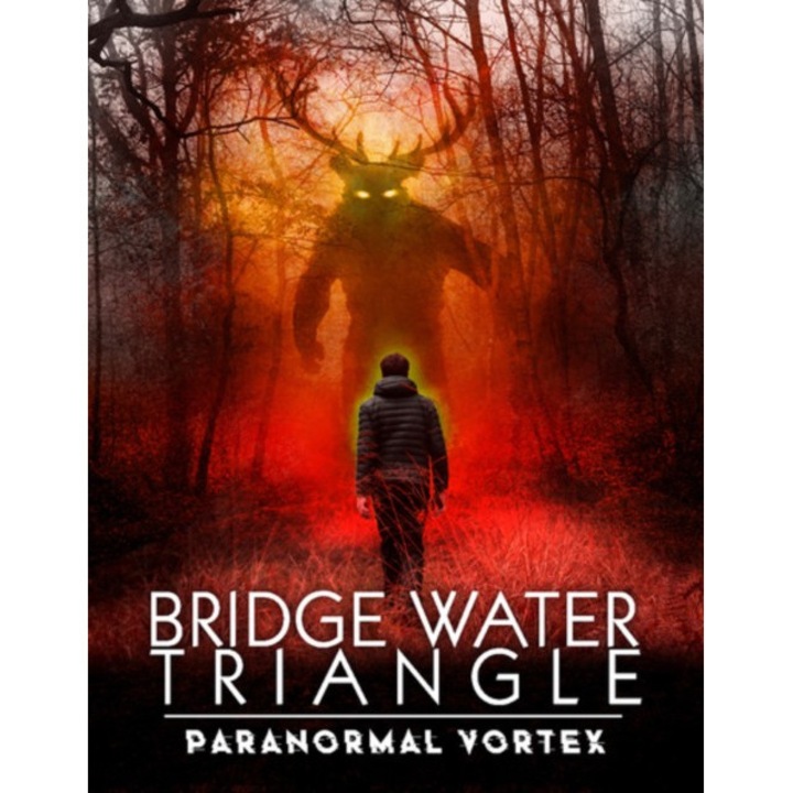 Bridgewater Triangle: Paranormal Vortex [DVD]