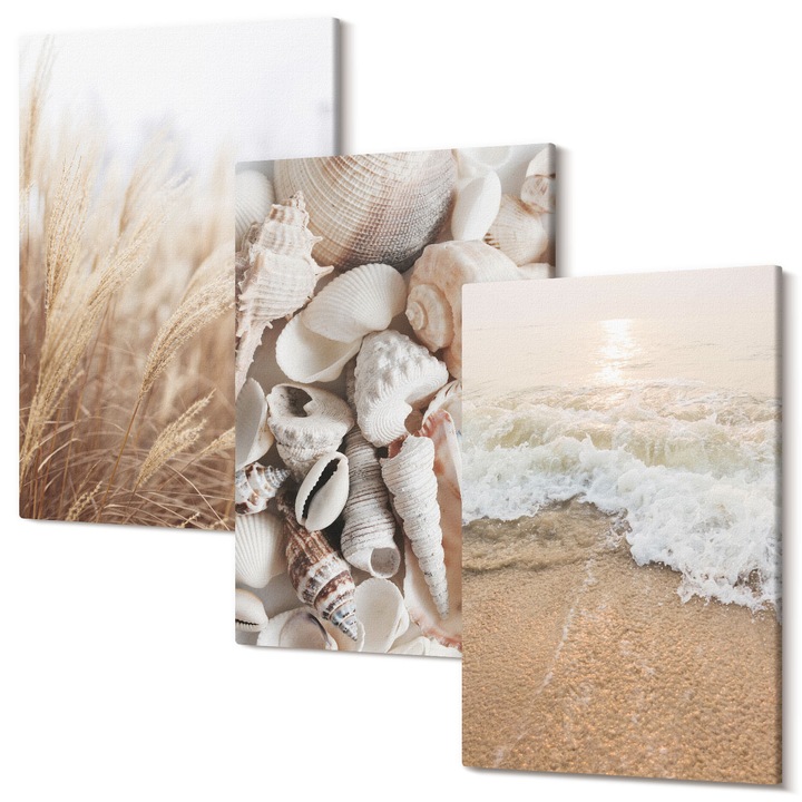 Decor perete tablouri, Wallfluent, Motive de plaja, scoici, valuri, 3 piese, 3x40x60 cm, Decorativ, Modern, 040030010480000287006