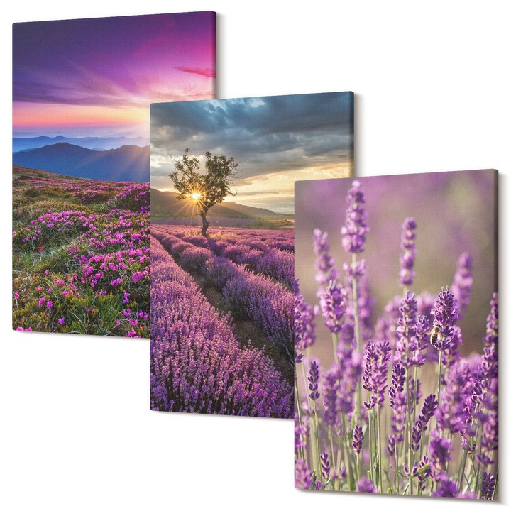 Decor perete tablouri, Wallfluent, Apus de soare campuri de lavanda, 3 piese, 3x20x30 cm, Decorativ, Modern, 040030010470000286614