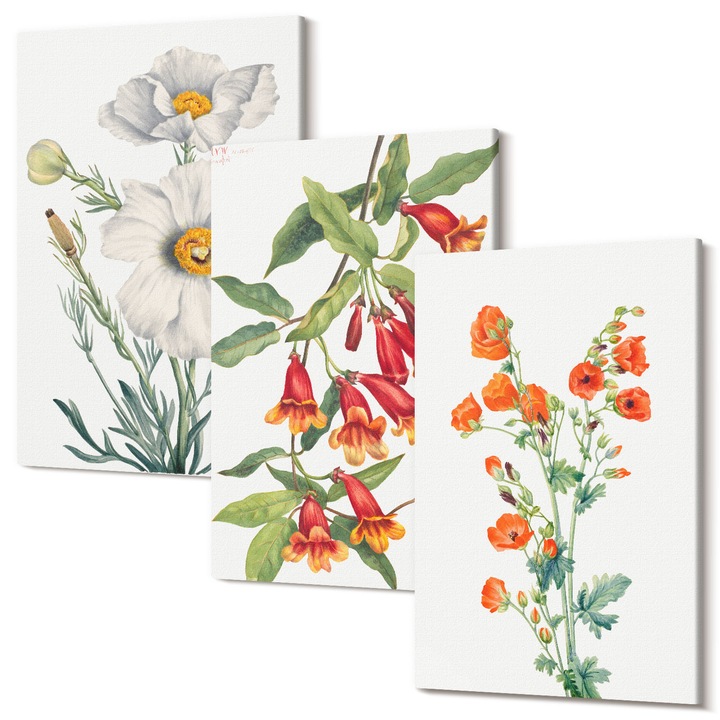 Set Tablou 3 Piese Triptic, Wallfluent, Aranjamente florale retro, 3 piese, 3x20x30 cm, Decorativ, Modern, 040030010470000287204