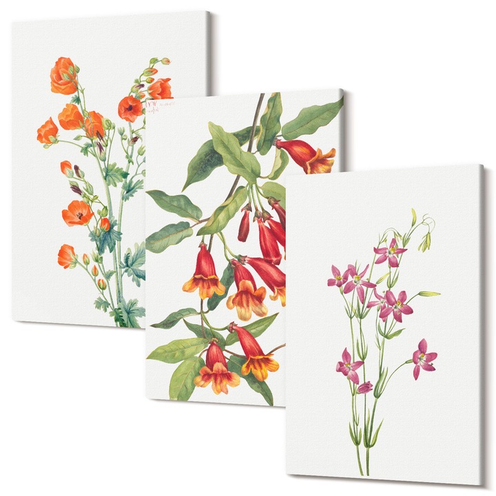 Picturi pe panza triptic pentru living, Wallfluent, Pictura retro vintage cu flori, 3 piese, 3x40x60 cm, Decorativ, Modern, 040030010480000287203