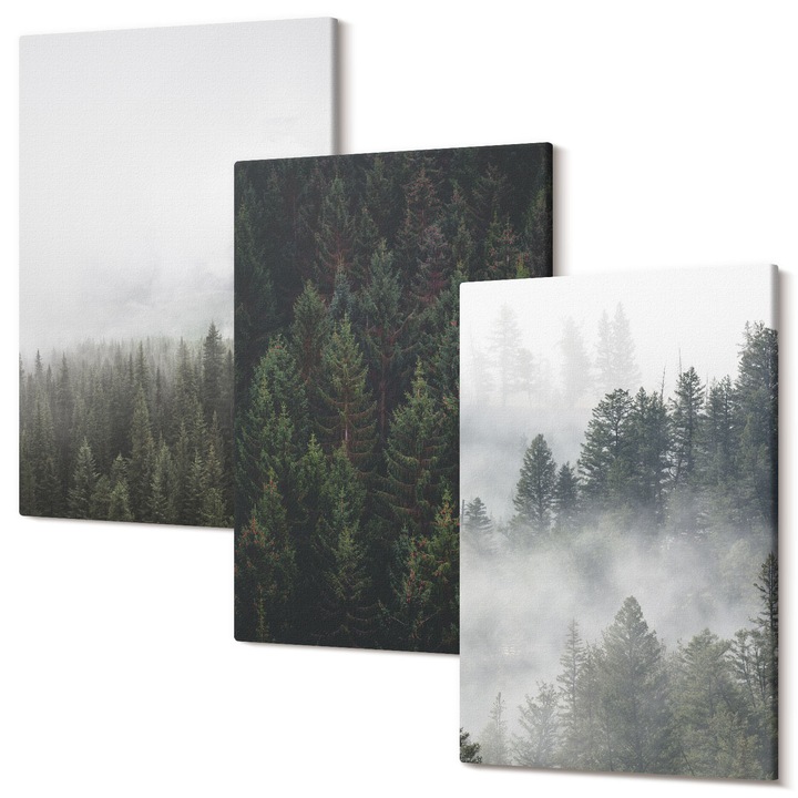 Set Tablouri Canvas, Tulup, Paduri verzi in mediul mistic al naturii, 3 piese, 3x20x30 cm, Decorativ, Tablou gata de agatat pe perete, Modern, Pentru interior, Tablou Dormitor, 040030010470000287213