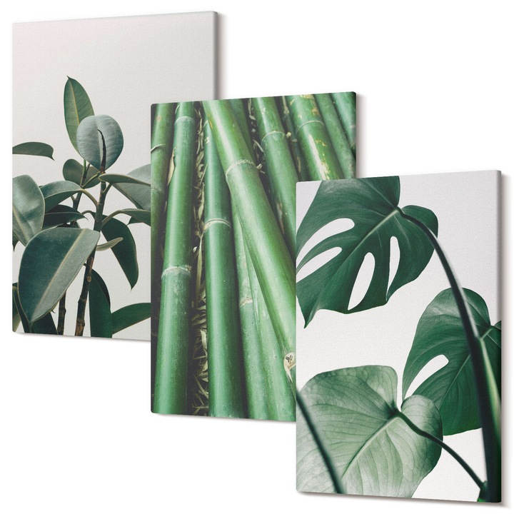 Set Tablou 3 Piese Triptic, Wallfluent, Tulpini de bambus si frunze de monstera, 3 piese, 3x40x60 cm, Decorativ, Modern, 040030010480000287218