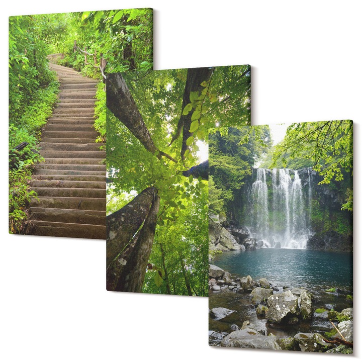 Set Tablou Canvas, Wallfluent, Calea padure cascada vegetatie, 3 piese, 3x40x60 cm, Decorativ, Modern, 040030010480000287086