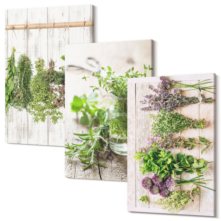 Set Tablouri Canvas decor interior, Wallfluent, Plante ierburi pentru bucatarie, 3 piese, 3x40x60 cm, Decorativ, Modern, 040030010480000286709
