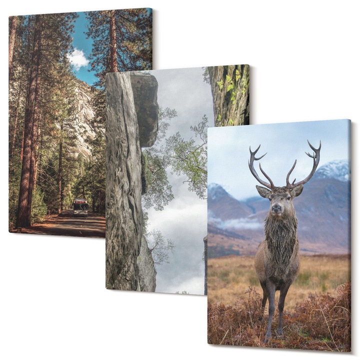 Set Tablouri Polycanvas, Wallfluent, Drum padure munti cerb natura, 3 piese, 3x40x60 cm, Decorativ, Modern, 040030010480000286843