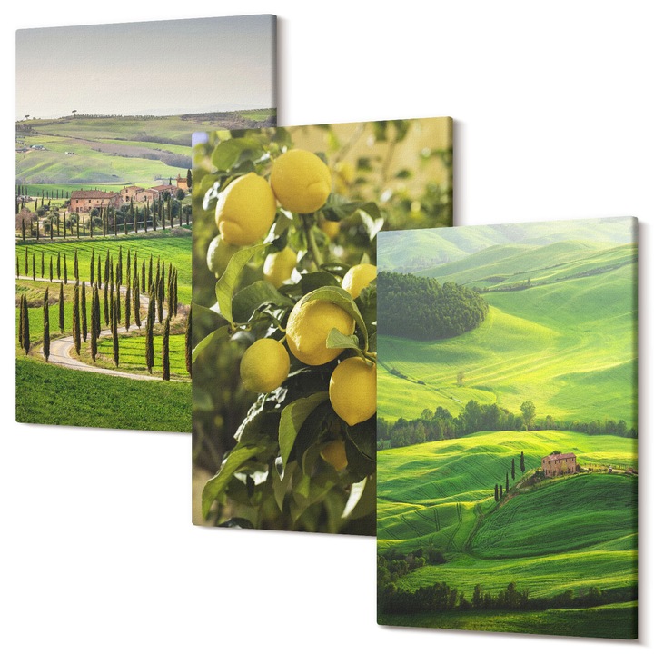 Set Tablou 3 Piese Triptic, Wallfluent, Citrice italiene si dealuri, 3 piese, 3x20x30 cm, Decorativ, Modern, 040030010470000286742