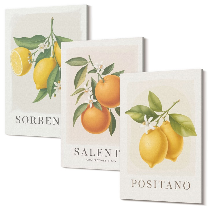 Picturi pe panza triptic pentru living, Wallfluent, Lamai si portocale Amalfi, 3 piese, 3x40x60 cm, Decorativ, Modern, 040030010480000286923