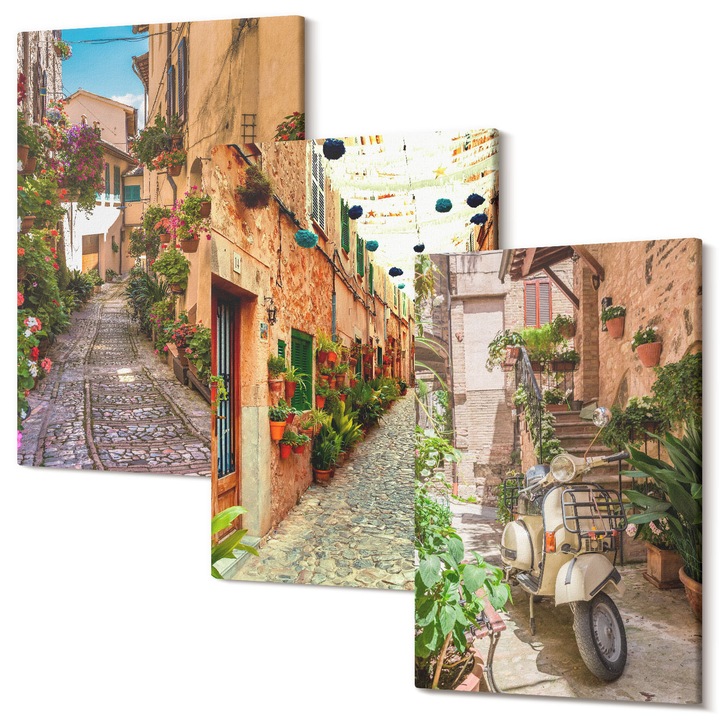 Set Tablouri Polycanvas, Wallfluent, Strazi, flori, atmosfera italiana, 3 piese, 3x40x60 cm, Decorativ, Modern, 040030010480000286822