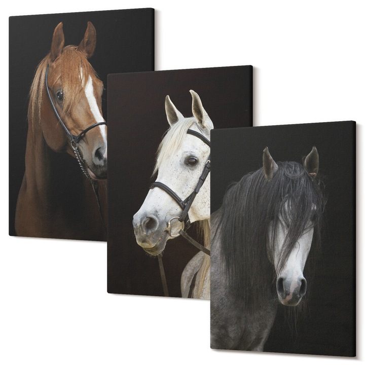 Picturi pe panza triptic pentru living, Wallfluent, Portrete de cai in nuante de blana, 3 piese, 3x20x30 cm, Decorativ, Modern, 040030010470000286629