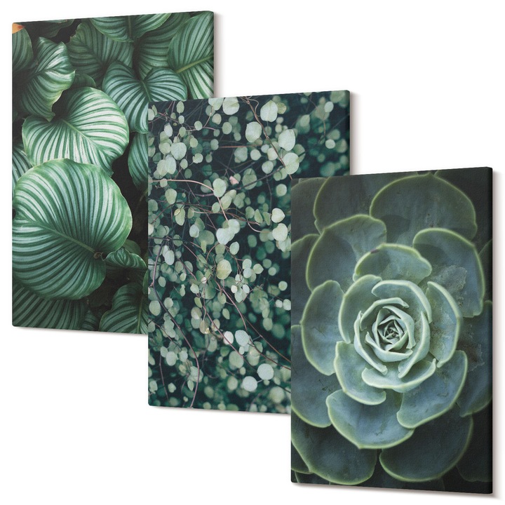 Picturi pe panza triptic pentru living, Wallfluent, Frunze verzi stil suculente, 3 piese, 3x20x30 cm, Decorativ, Modern, 040030010470000286790