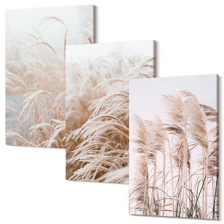 Tablouri modulare perete, Wallfluent, Campuri de iarba in maro si bej, 3 piese, 3x40x60 cm, Decorativ, Modern, 040030010480000286774