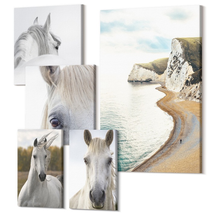 Set Tablou 5 piese pentaptic, Wallfluent, Portrete abstracte contrastante, 5 piese, (2x20x30 + 2x30x30 + 40x60 cm), Decorativ, Modern, 040030010500000288190