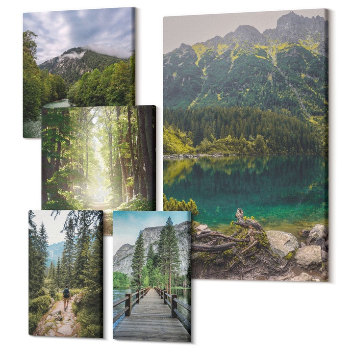 Set Tablouri Polycanvas, Wallfluent, Drum padure munti cerb natura, 5 piese, (2x20x30 + 2x30x30 + 40x60 cm), Decorativ, Modern, 040030010500000288263